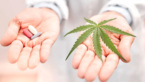 Cannabis and Cancer What the Research Really Says