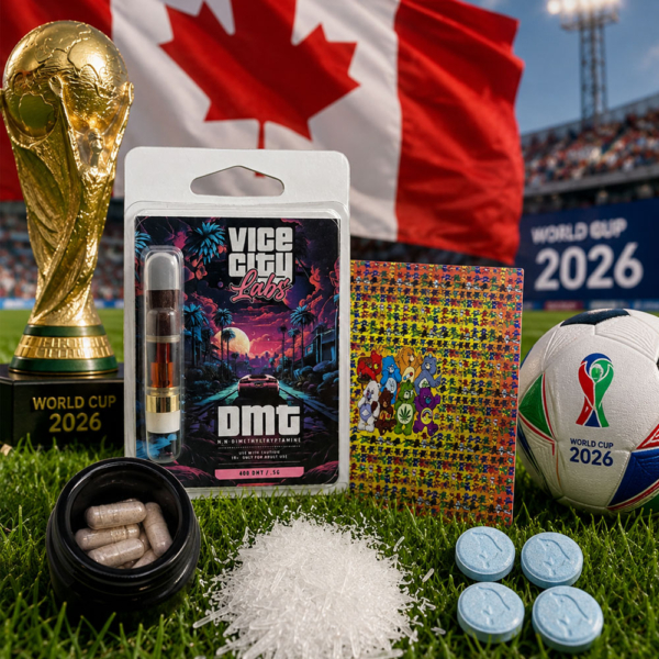 fifa world cup bundle