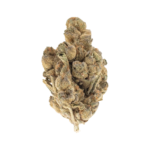 Apple Fritter (1 oz) - Hybrid