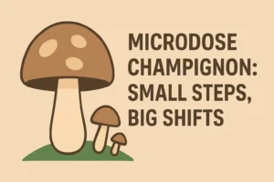 Final Thoughts Small Steps, Big Shifts