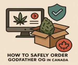How to Safely Order Godfather OG in Canada