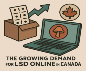 The Growing Demand for LSD Online in Canada
