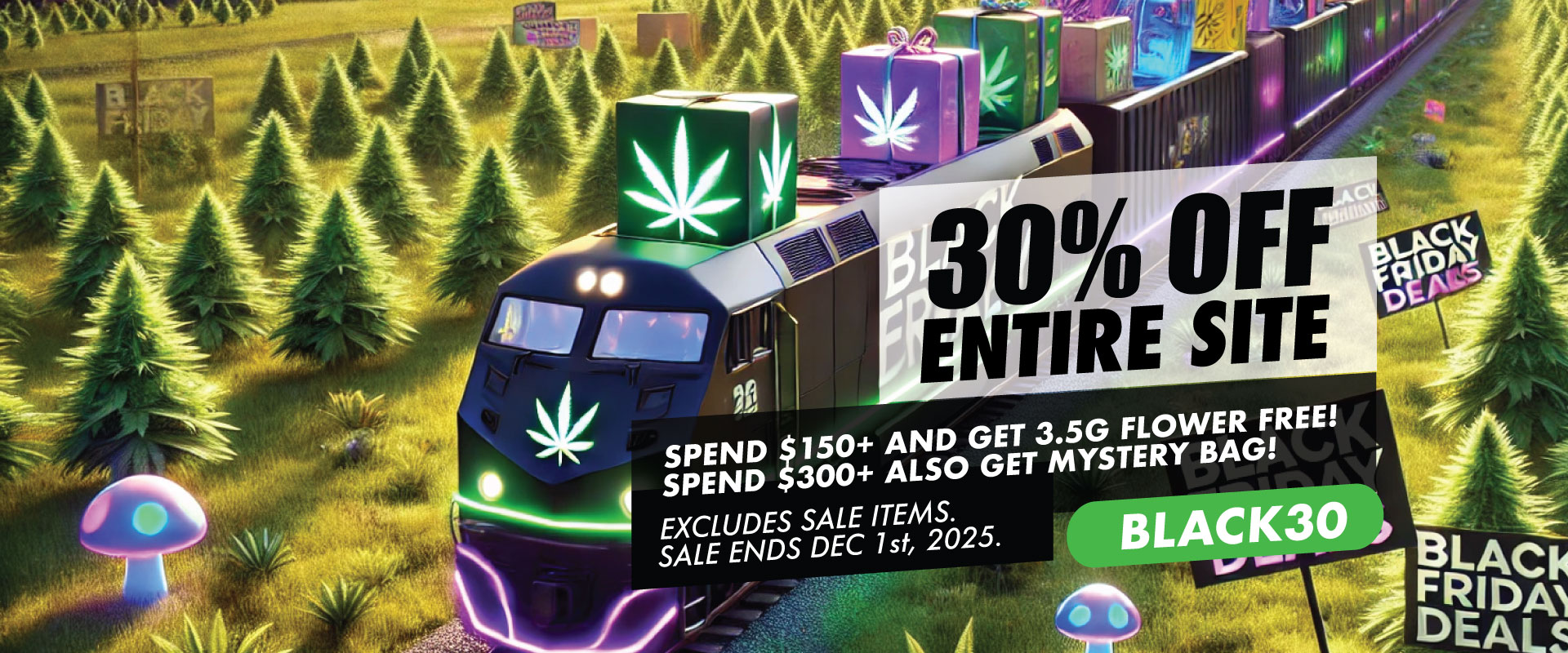 cr black friday banner